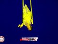 BRP_0454
