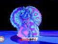 BRP_0491