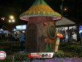IMG_2758