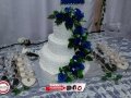IMG_3136