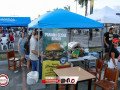 IMG_6638