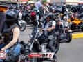 IMG_3302