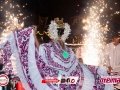 IMG_3522