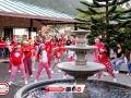 IMG_0271 IMG_0271