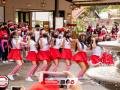 IMG_0317 IMG_0317
