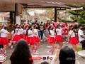 IMG_0339 IMG_0339