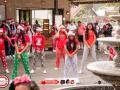 IMG_0348 IMG_0348