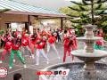 IMG_0401 IMG_0401