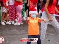 IMG_0425 IMG_0425