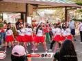 IMG_0445 IMG_0445
