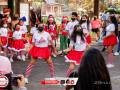 IMG_0446 IMG_0446