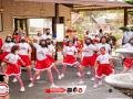 IMG_0455 IMG_0455