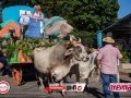 IMG_3920