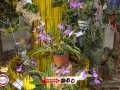 BRP_7733