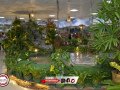 BRP_7773