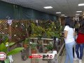 BRP_7787