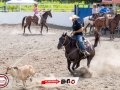 IMG_7353