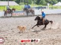 IMG_7355