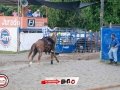 IMG_7368