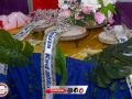BRP_3632 BRP_3632