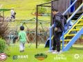 BRP_2629