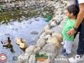 BRP_2819