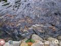 BRP_2820